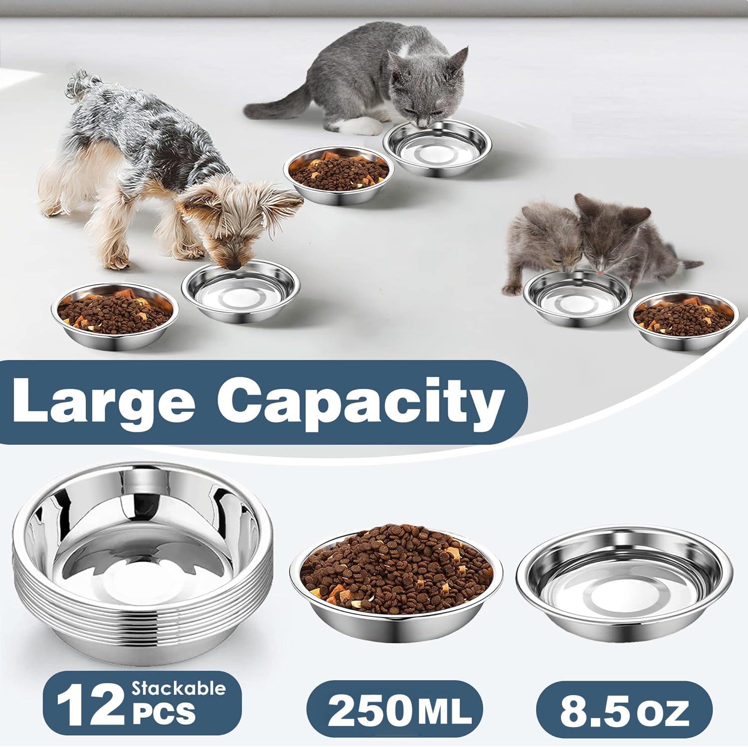 Arespark whisker-friendly shallow bowl design reduces whisker fatigue during meals