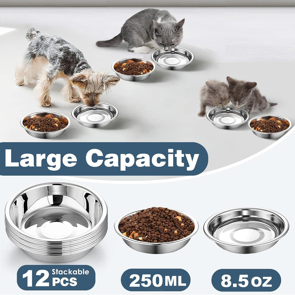 Arespark whisker-friendly shallow bowl design reduces whisker fatigue during meals