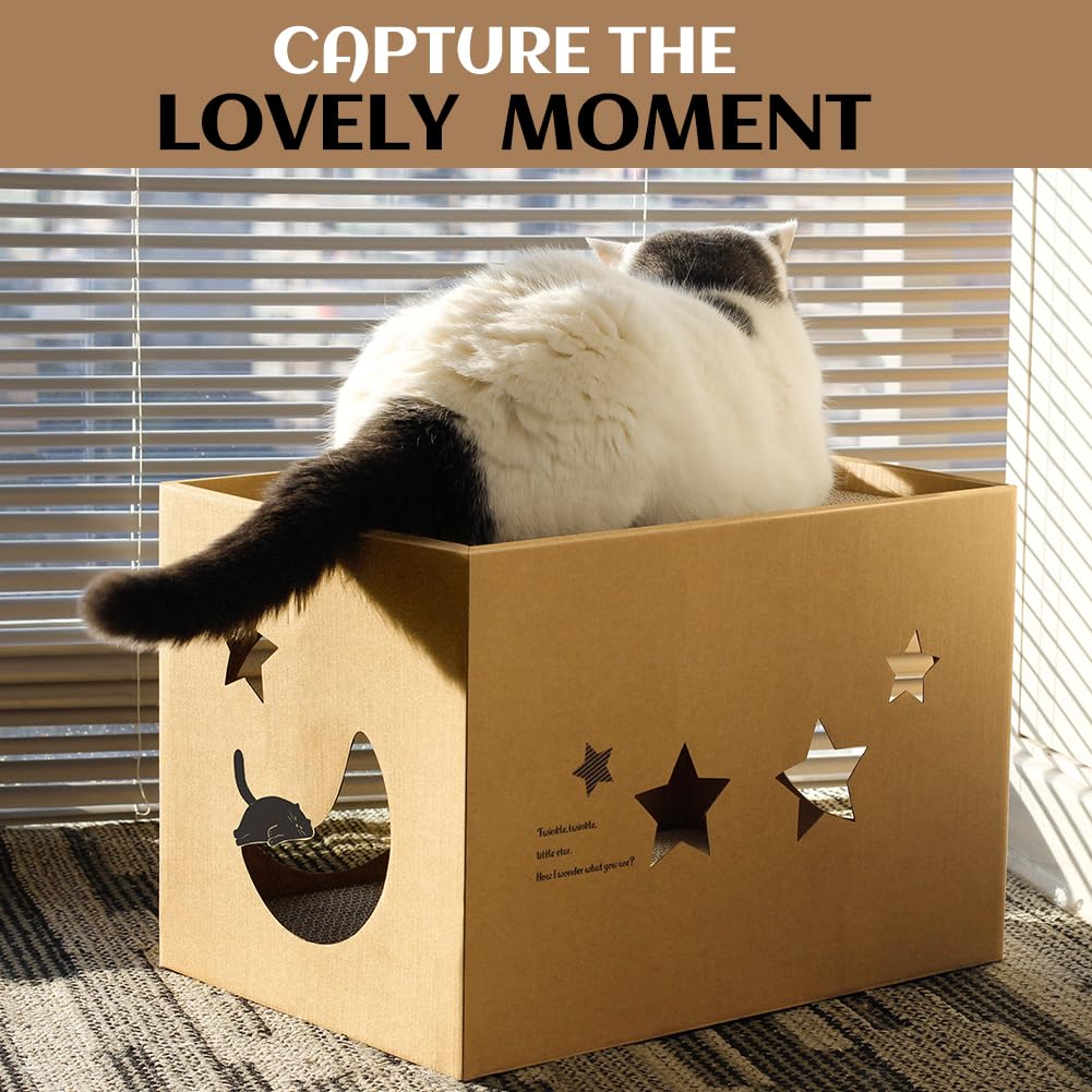 ARGOPET cat cardboard house star catnip attract, entice use and playful exploration