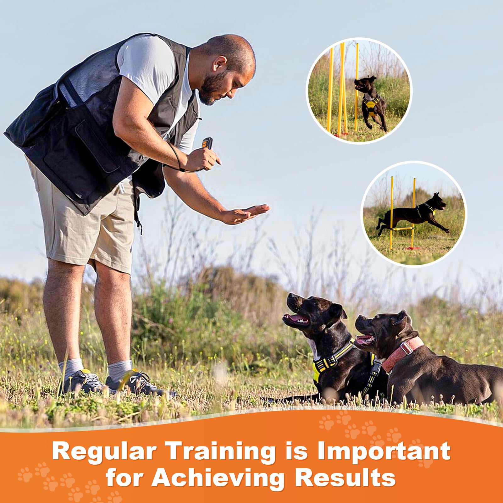 Arien dog bark deterrent training aid calms pets at home.