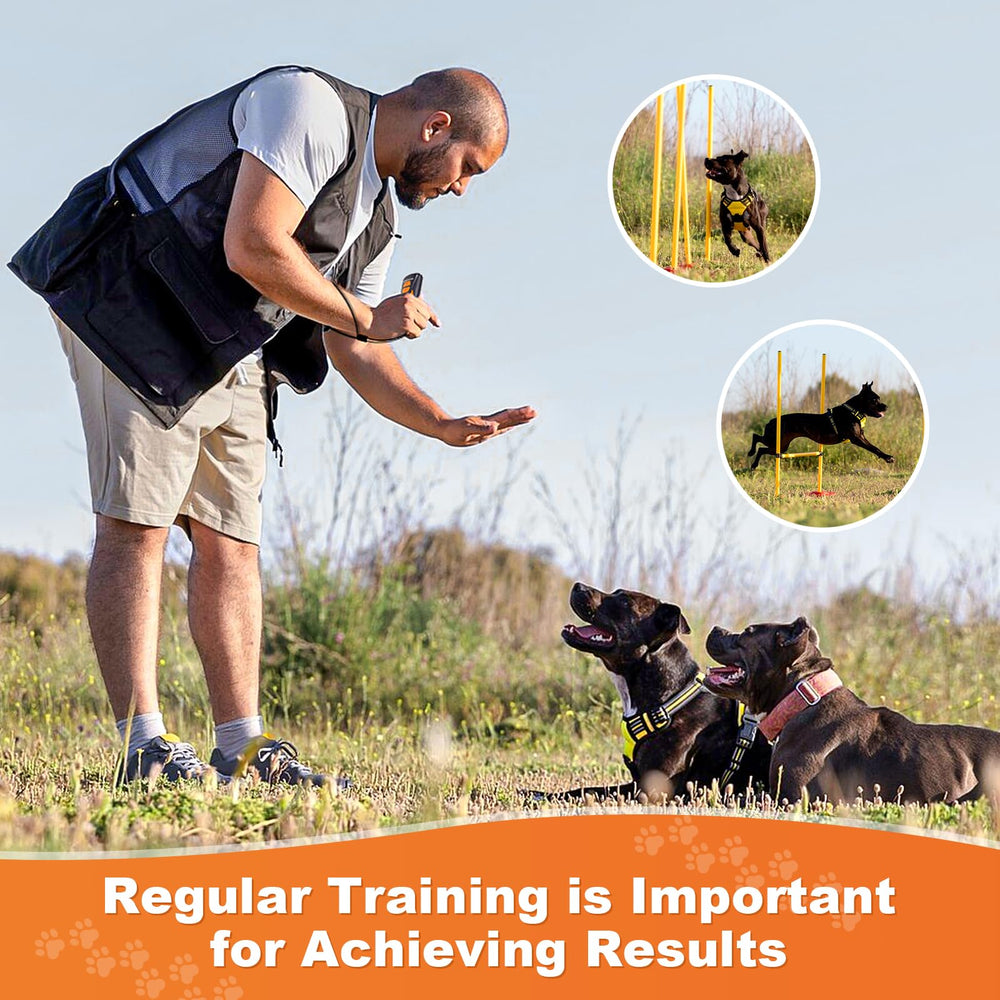 Arien dog bark deterrent training aid calms pets at home.