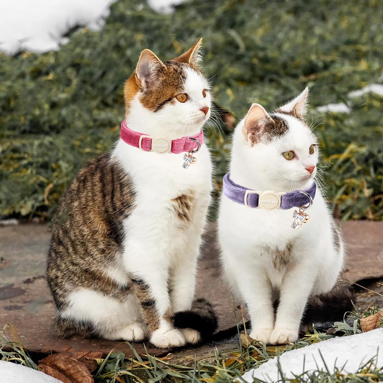 Aring Pet adjustable-length cat collar fits 20-32 cm for kittens or cats.