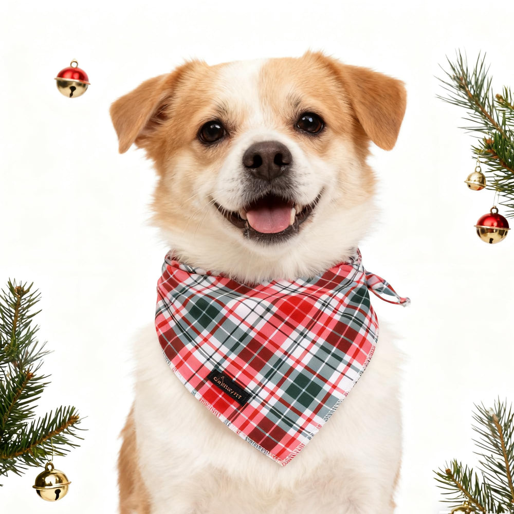 Aring Pet Christmas bandana pattern close-up highlighting seasonal print