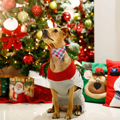 Aring Pet Christmas bandana in pink on a dog for cute portraits