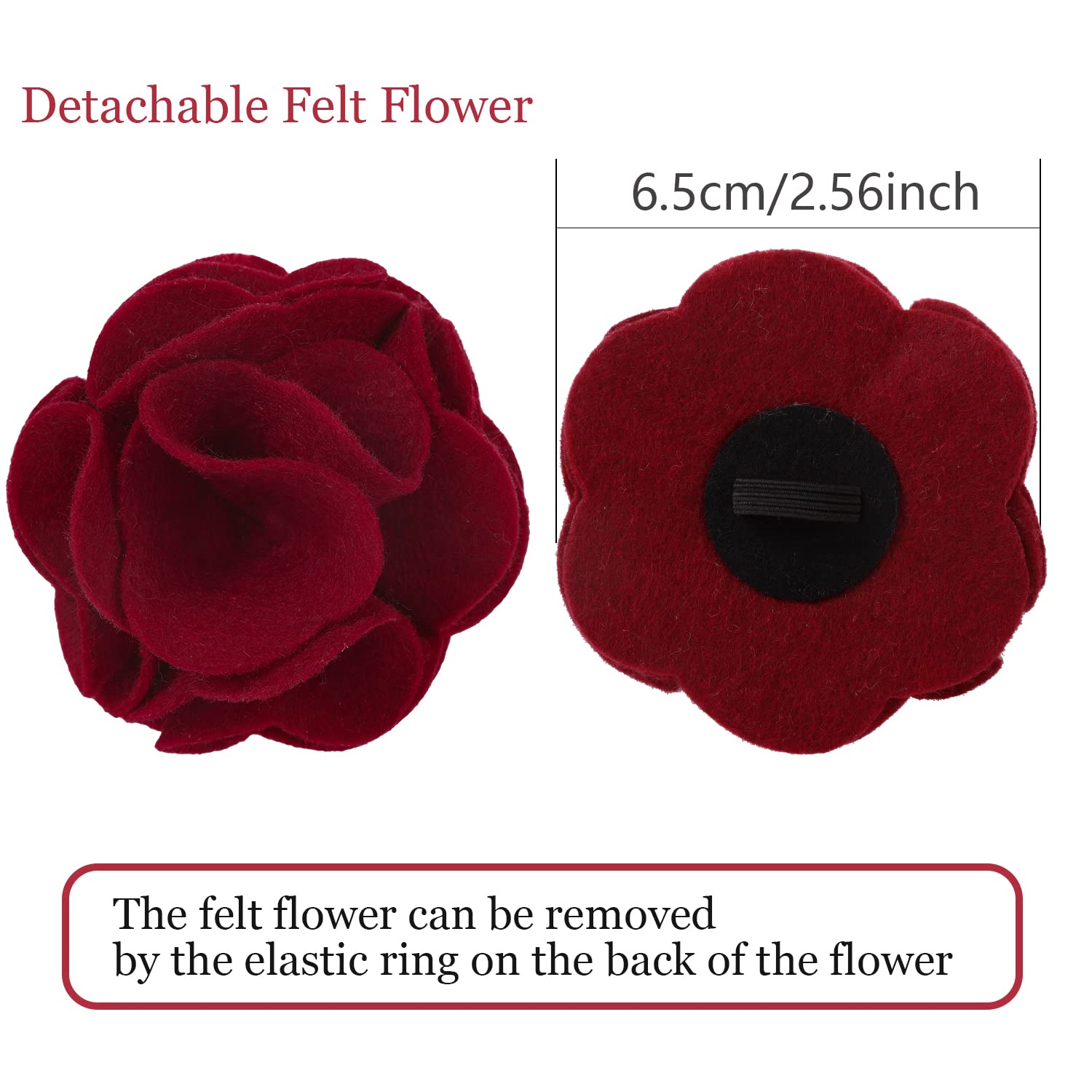 Aring Pet velvet collar size S demonstrates a snug adjustable fit.