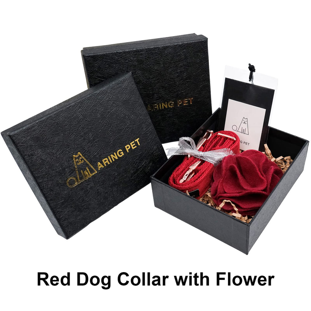 Aring Pet collar features D-ring for easy tagging and leash.