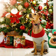 ARING PET collar with secure plastic buckle for winter wear