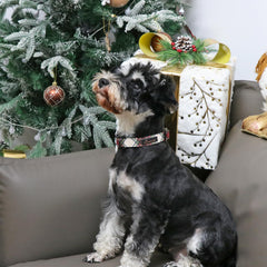 Aring Pet lightweight cotton collar closeup highlights breathable fabric.
