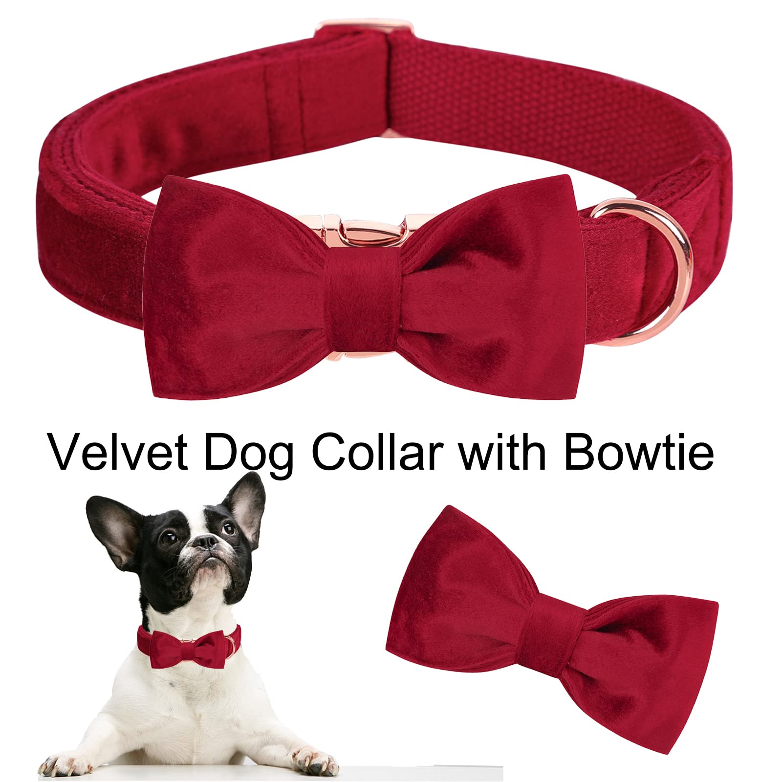 Aring Pet Velvet Collar adjustable roll-slider—custom fit for growing dogs