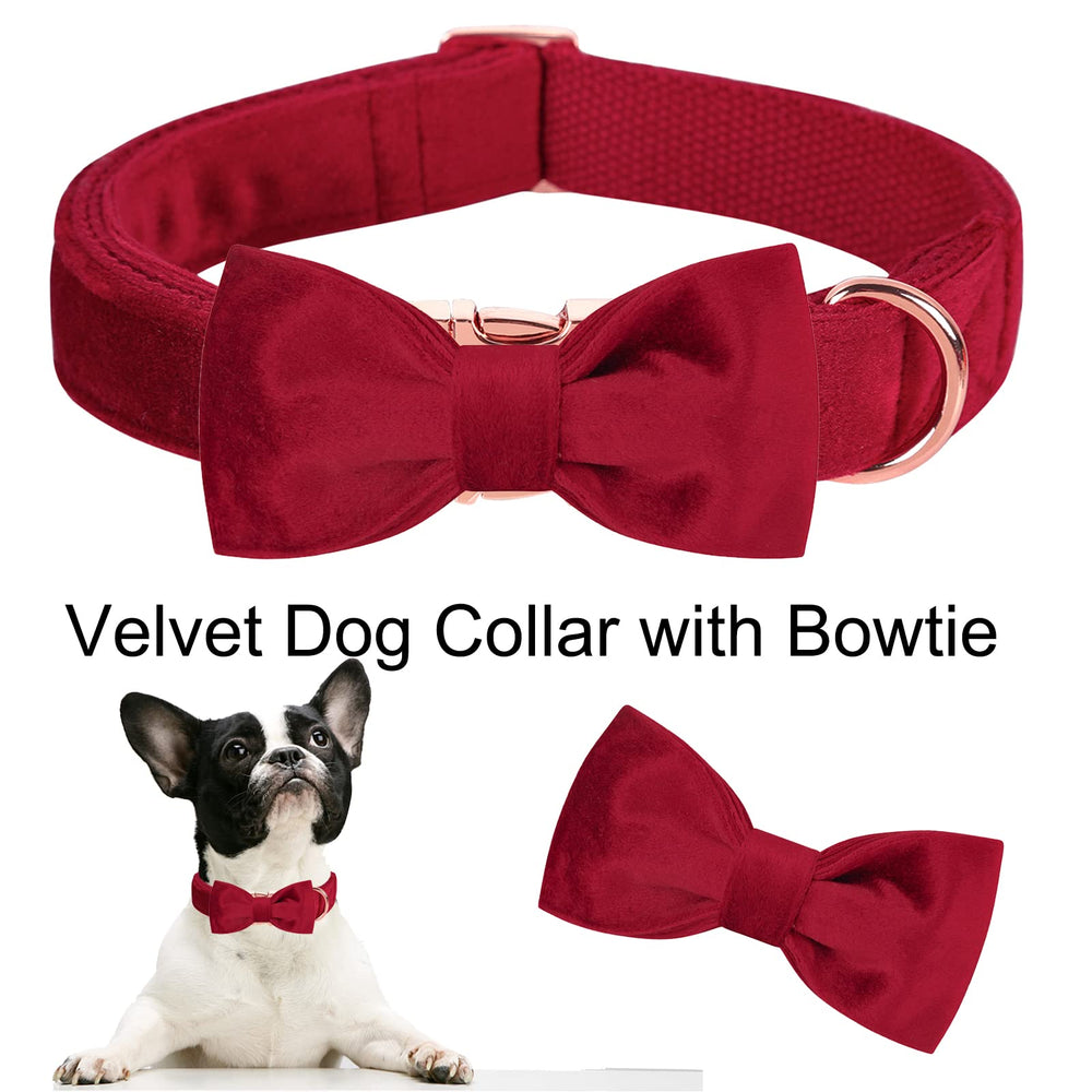 Aring Pet Velvet Collar adjustable roll-slider—custom fit for growing dogs