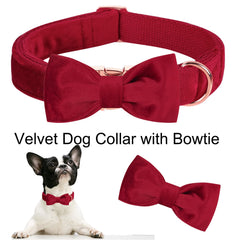 Aring Pet Velvet Collar adjustable roll-slider—custom fit for growing dogs