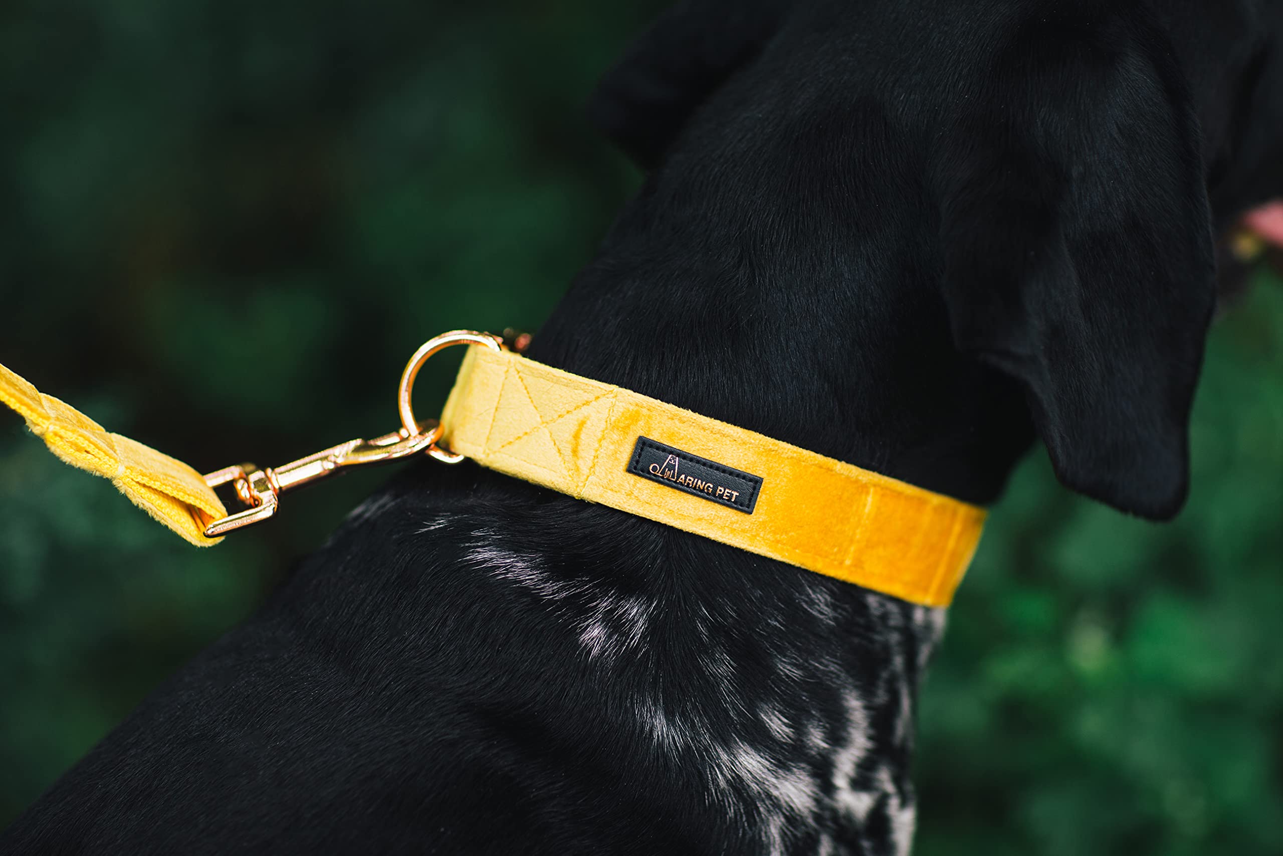 ARING PET Velvet Dog Collar size guide helps sizing accuracy
