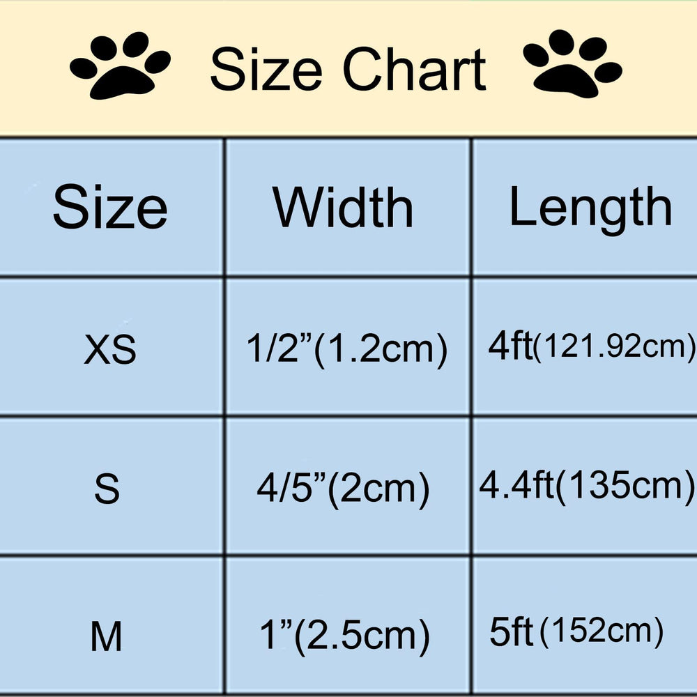 Aring Pet velvet dog leash model wearing for size and style.