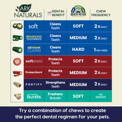 ARK NATURALS Fortify natural flavors close-up with alfalfa cinnamon vanilla clove