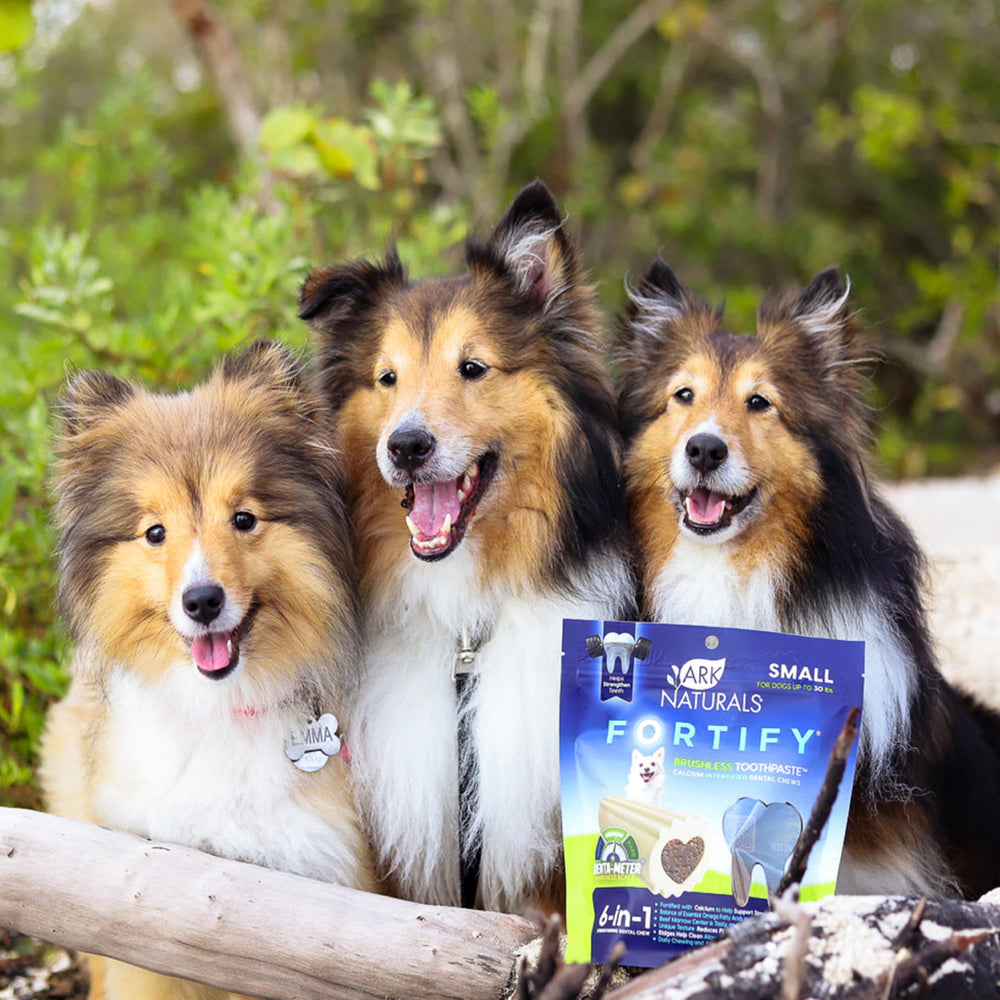 ARK NATURALS Fortify veterinarian-formulated care badge close-up