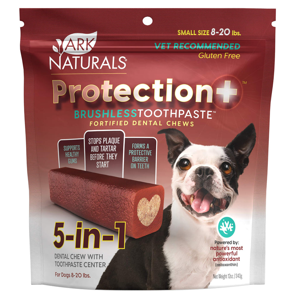 ARK NATURALS Protection Plus brushless toothpaste center aids simple daily dental care.