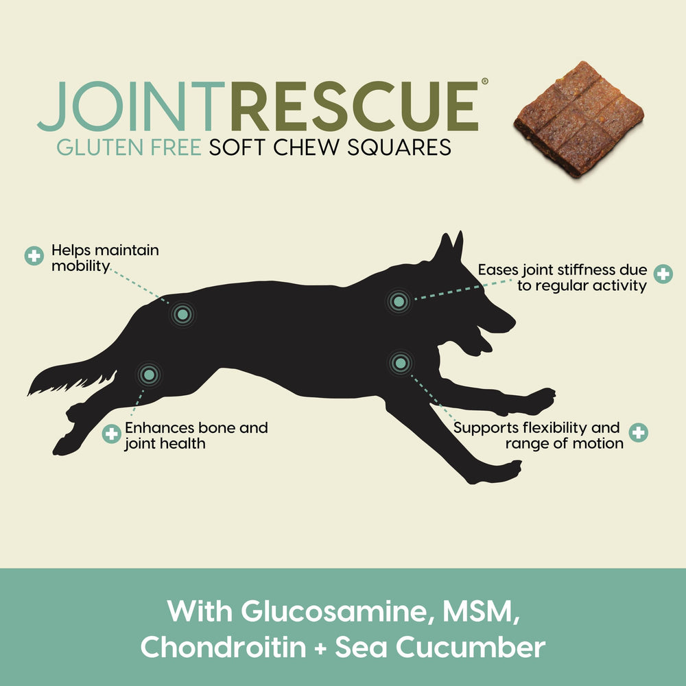 Ark Naturals Sea Mobility Joint Rescue chew close-up in Lamb flavor for daily activity.