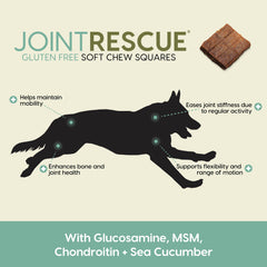 Ark Naturals Sea Mobility Joint Rescue chew close-up in Lamb flavor for daily activity.
