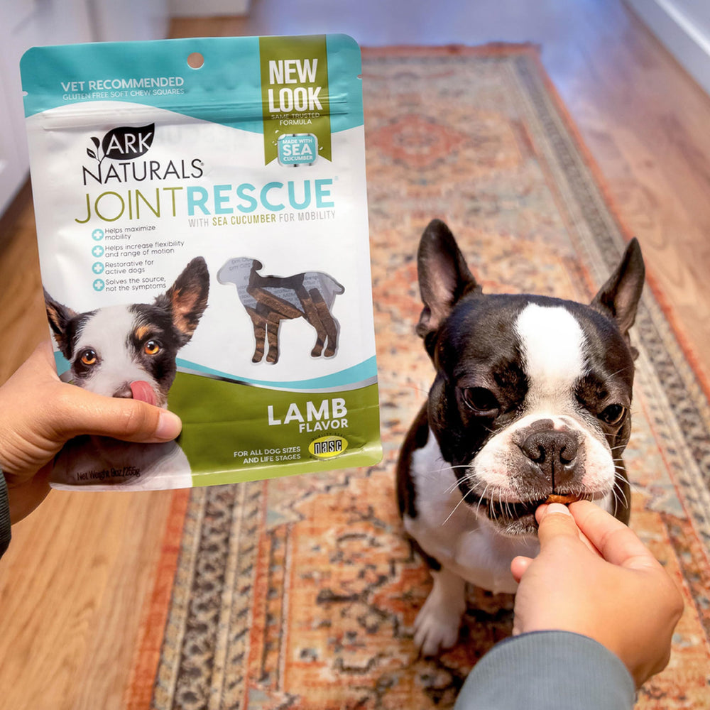 Ark Naturals Sea Mobility Joint Rescue bottle with lamb flavor chews for training sessions.