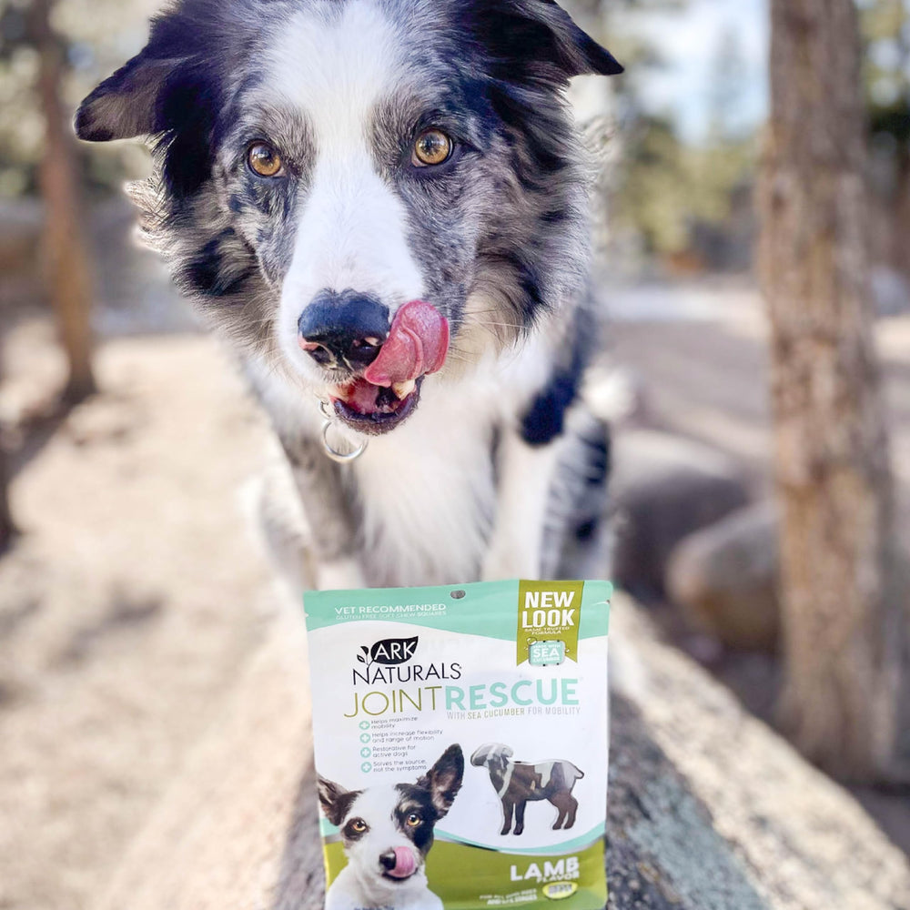 Ark Naturals Sea Mobility Joint Rescue lamb flavor chews in a bowl.