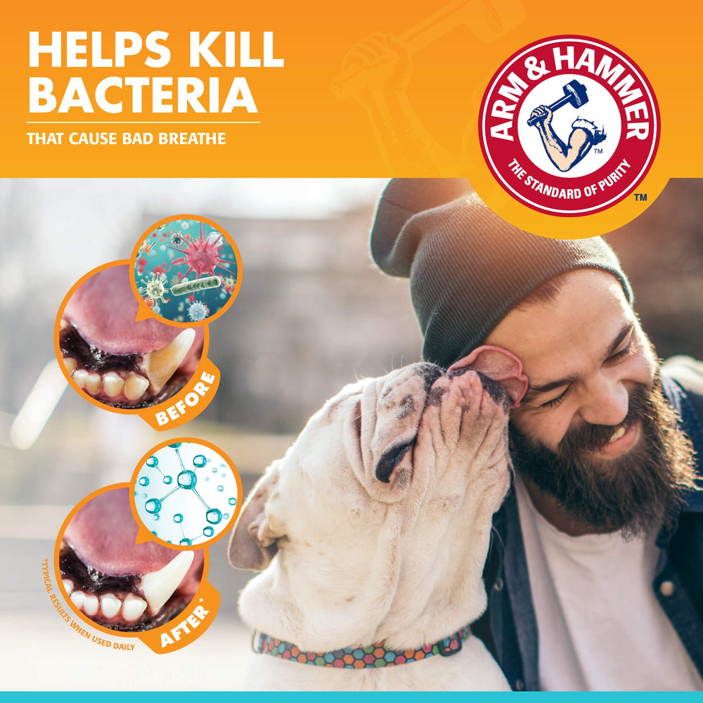 Arm & Hammer dog oral care spray mint-scented formula for fresh breath.
