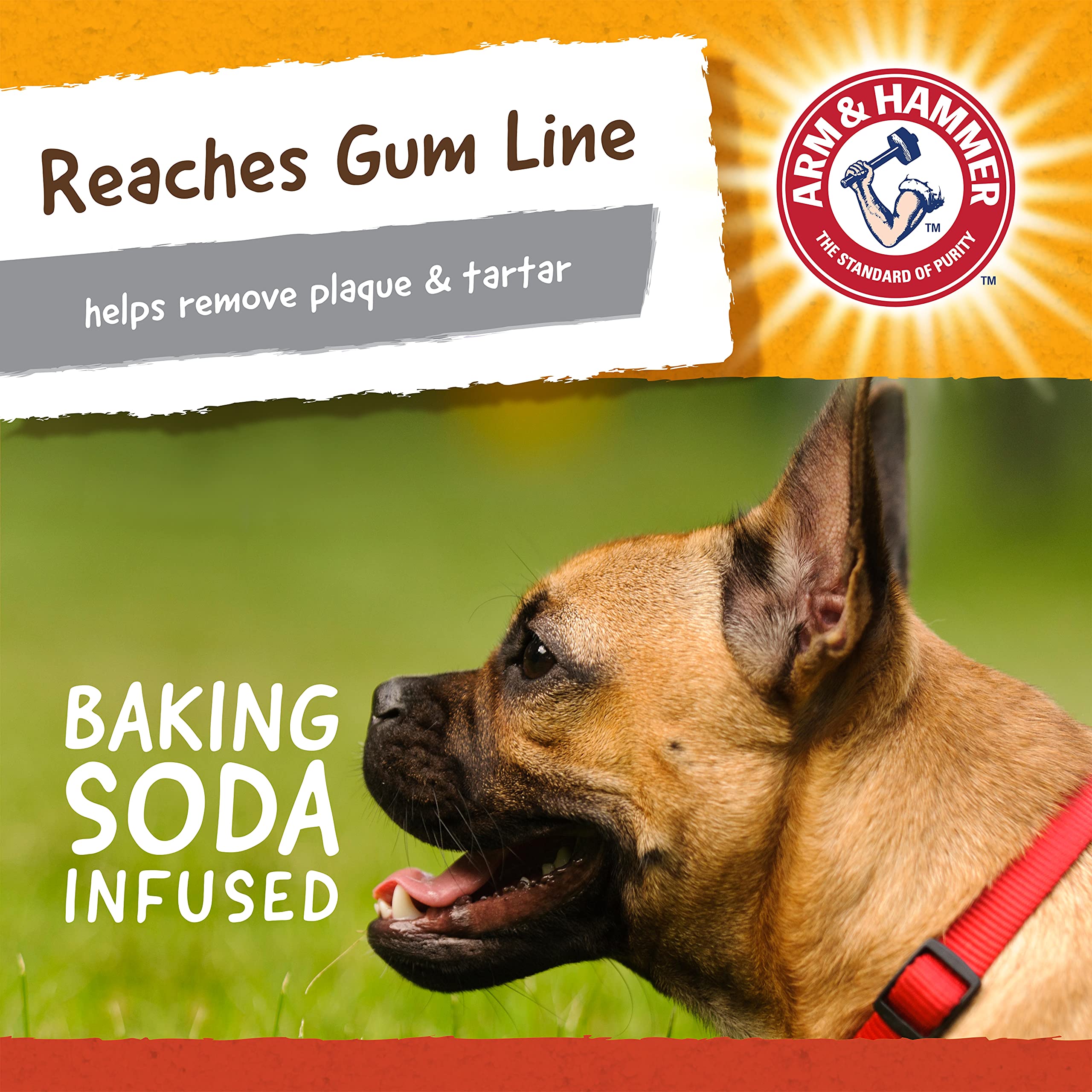 Arm & Hammer dishwasher-safe label on toy emphasizes easy cleanup after play sessions.