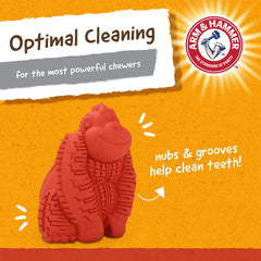 Arm & Hammer mini dog playing with dental chew demonstrates interactive play for small breeds.