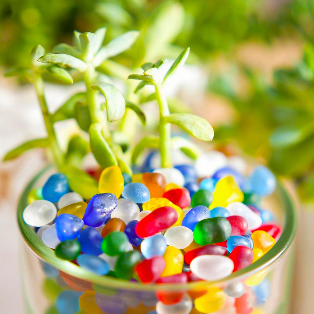 Armas kodu Sea Glass Stones colorful frosted gems enhance home decor.