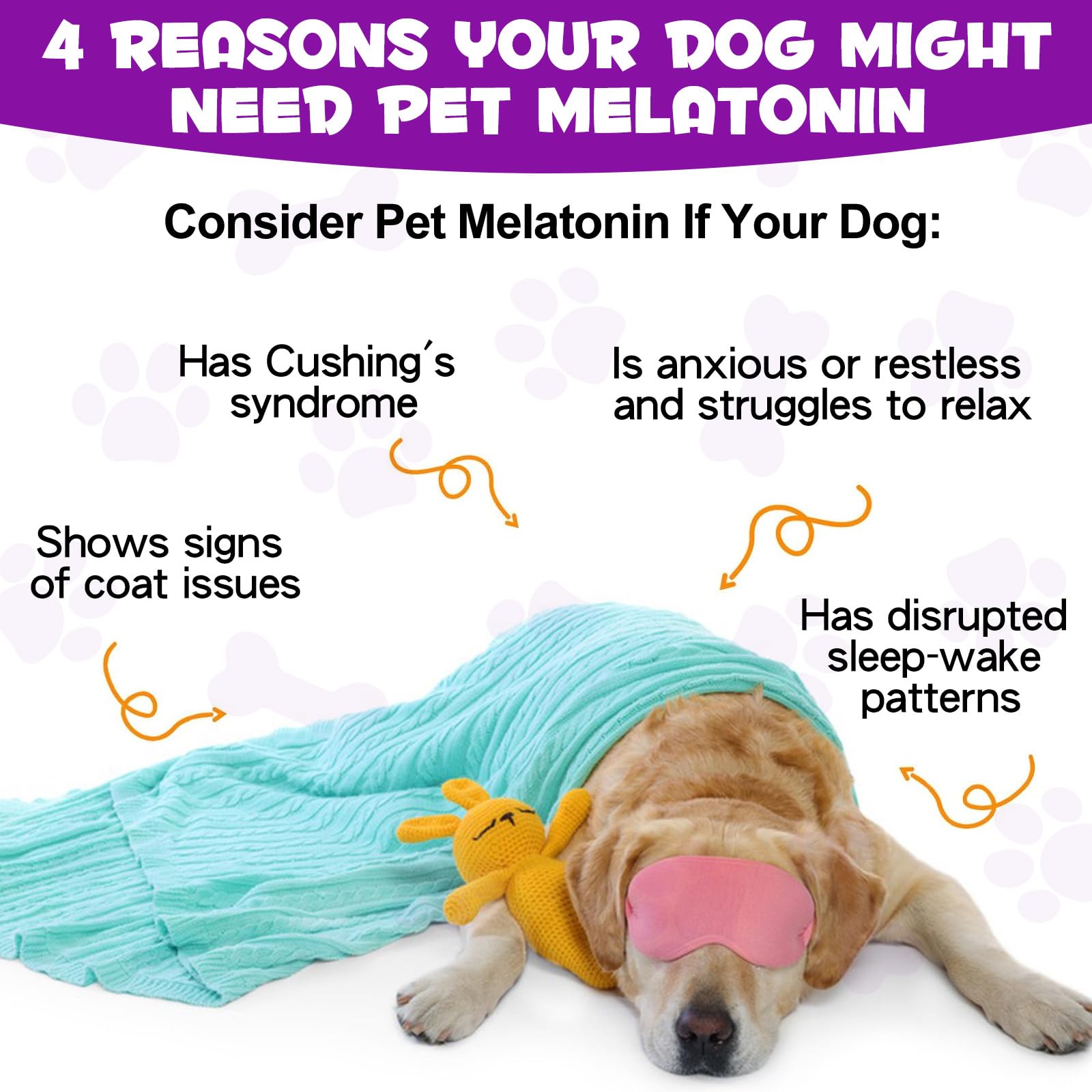 ARMOYA cat melatonin bottle highlights cross-species calm sleep support.