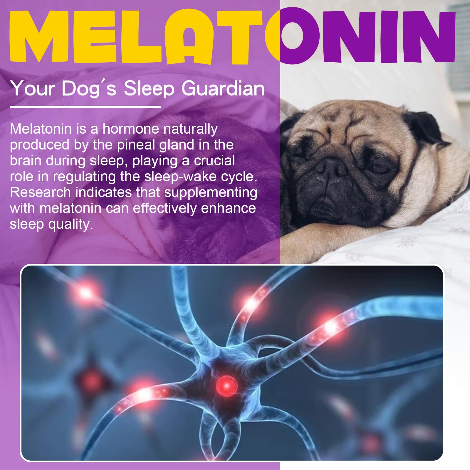 ARMOYA cat melatonin drops demonstrate simple administration and gentle relaxation.