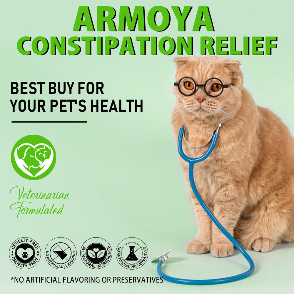 ARMOYA cat with bottle, highlighting convenient dosing for busy pet owners.