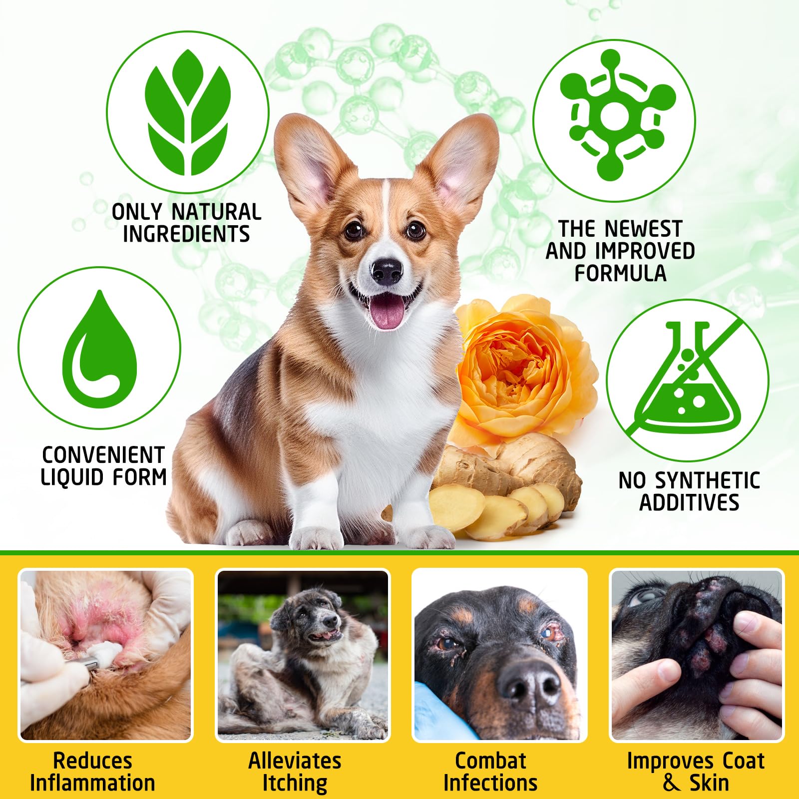 ARMOYA dog allergy relief liquid – natural, additive-free option for sensitive pets