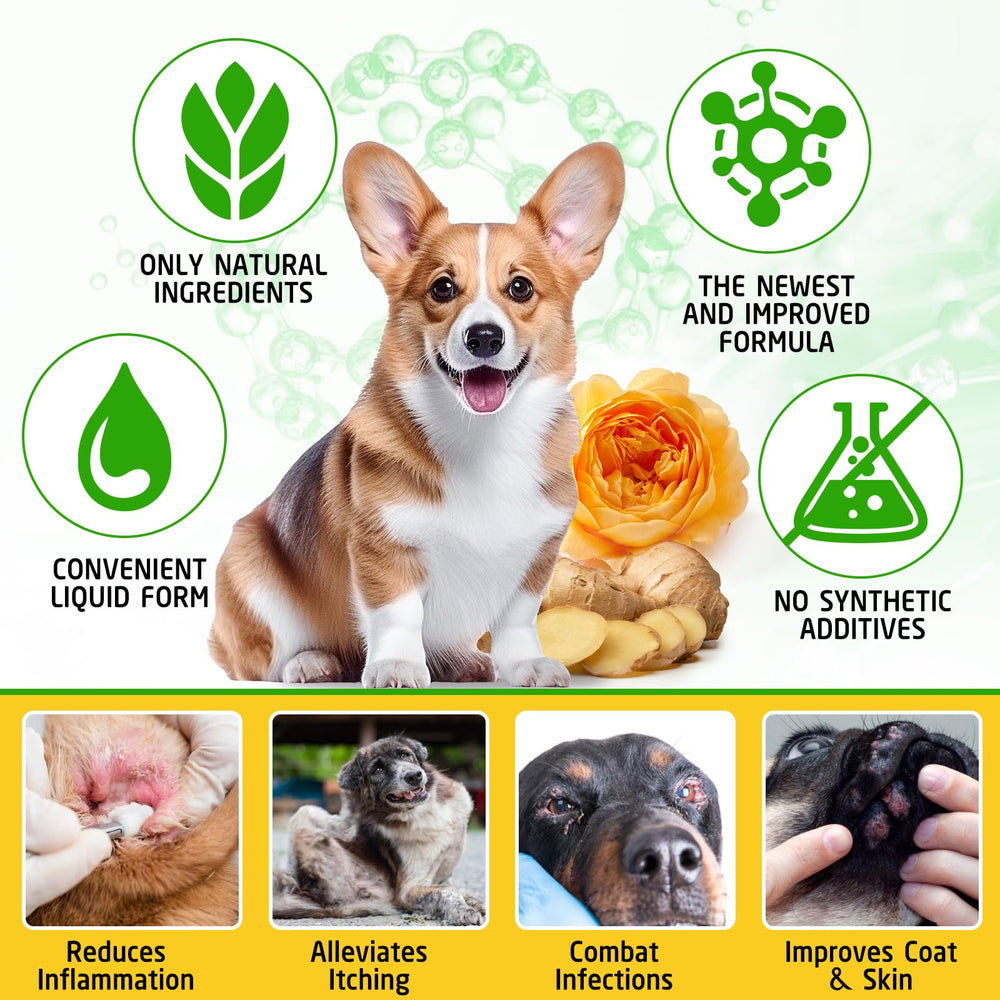 ARMOYA dog allergy relief liquid – natural, additive-free option for sensitive pets