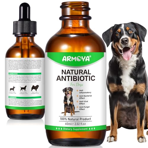 ARMOYA dog antibiotics dropper close-up showing precise dosing