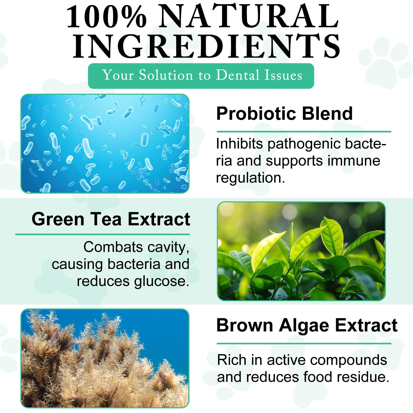 ARMOYA dog food mix blends powder into kibble to support fresh breath.