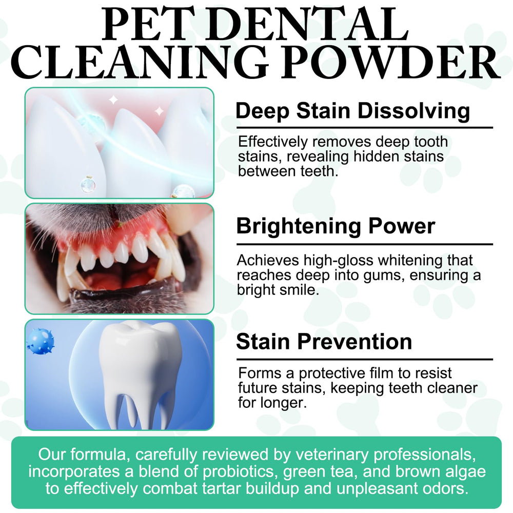 ARMOYA packaging box highlights a simple dental care solution for dogs.