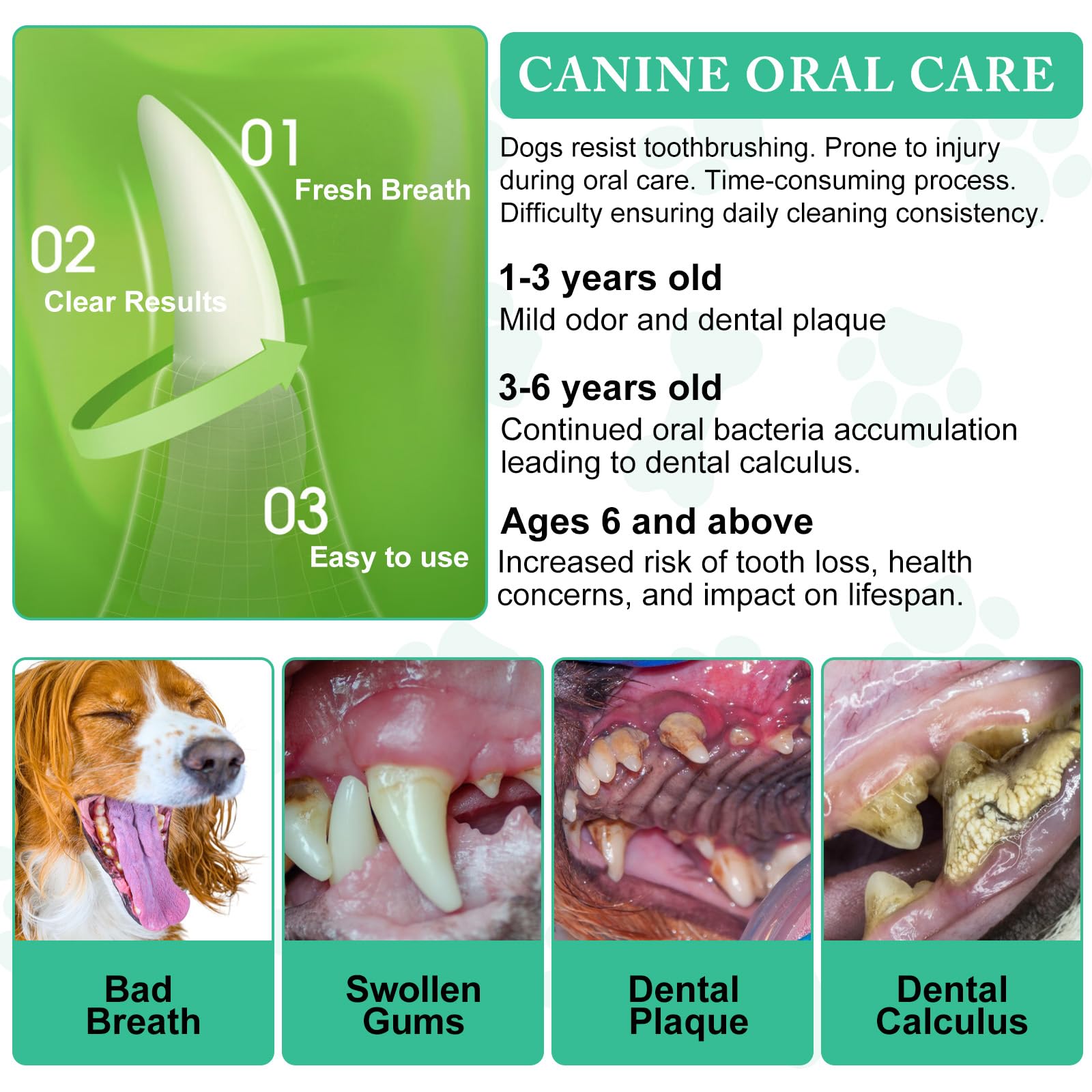 ARMOYA Dog Dental Powder scattered over food illustrates seamless meal-time mixing.