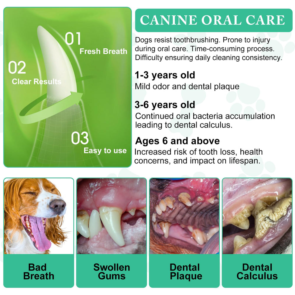 ARMOYA Dog Dental Powder scattered over food illustrates seamless meal-time mixing.