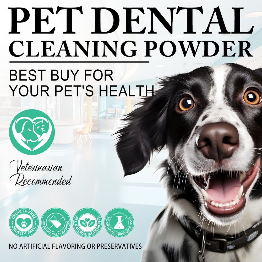 ARMOYA teeth health graphic communicates gum support and tartar reduction potential.