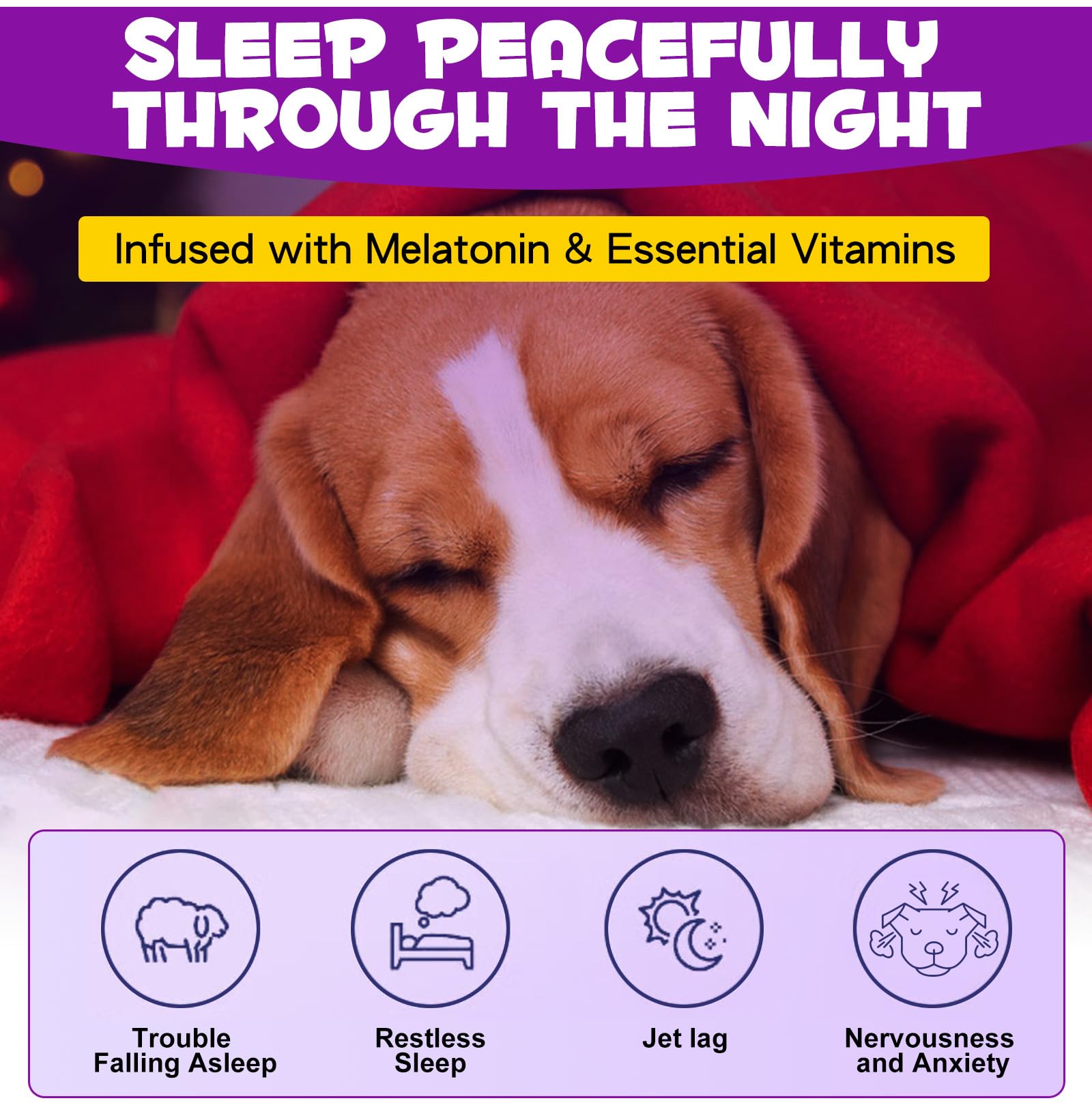 ARMOYA dog melatonin bottle packaging and ingredients highlight natural plant formula.