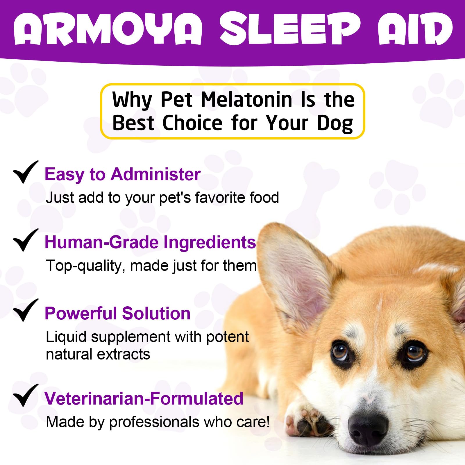 ARMOYA dog melatonin on daily routine for balanced mood potential.