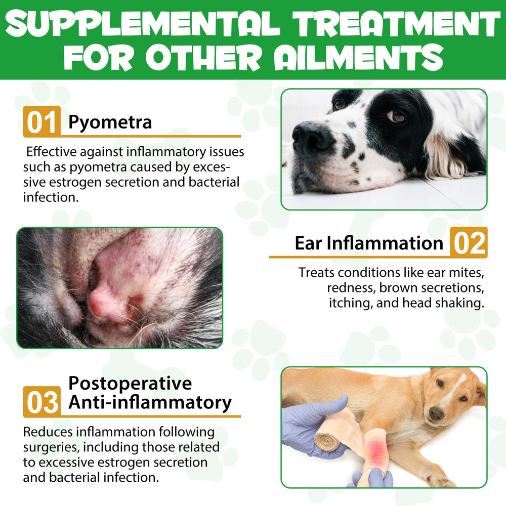 ARMOYA dog multivitamin bottle close-up highlighting complete nutrition