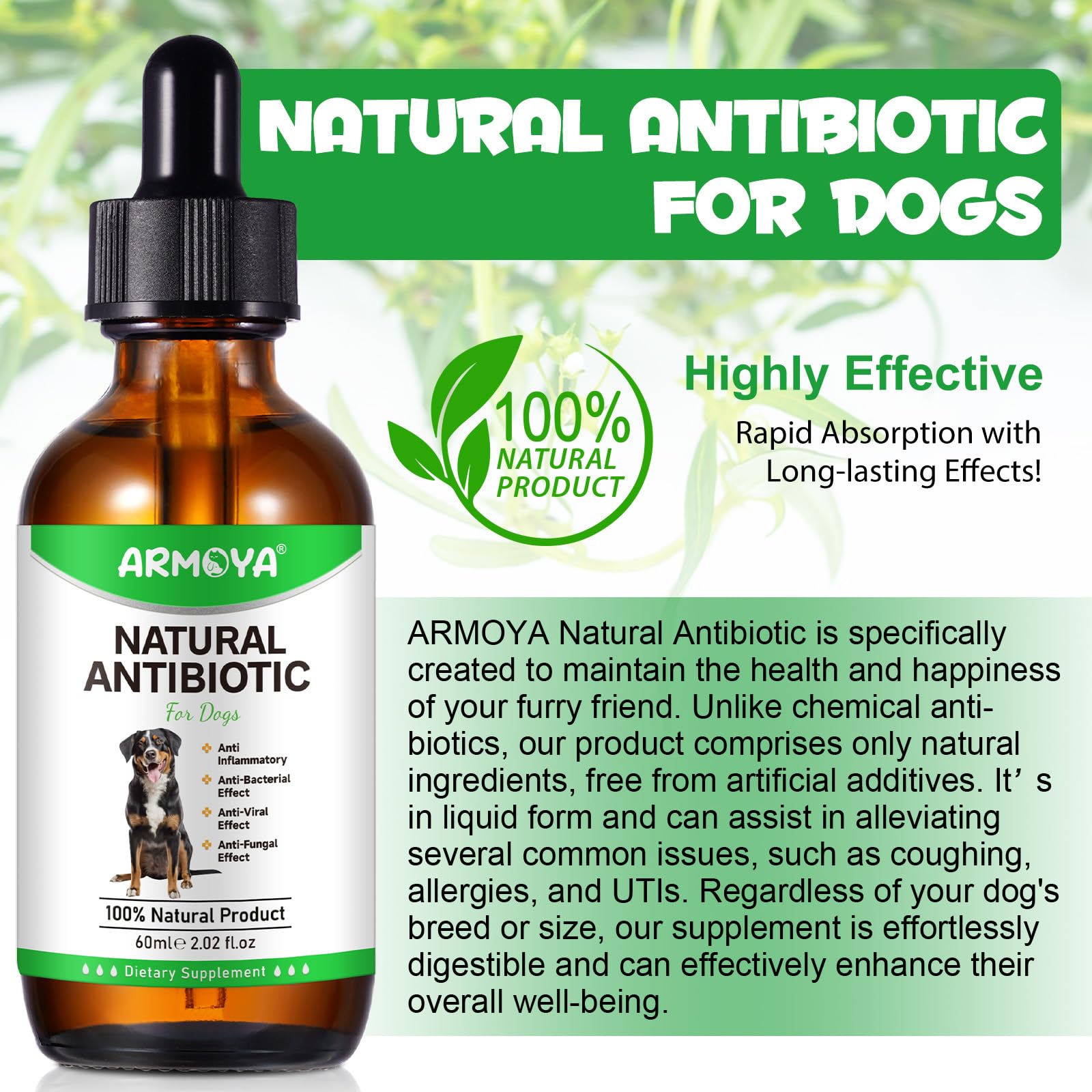 ARMOYA dog nutrition daily-use scene for consistent supplementation