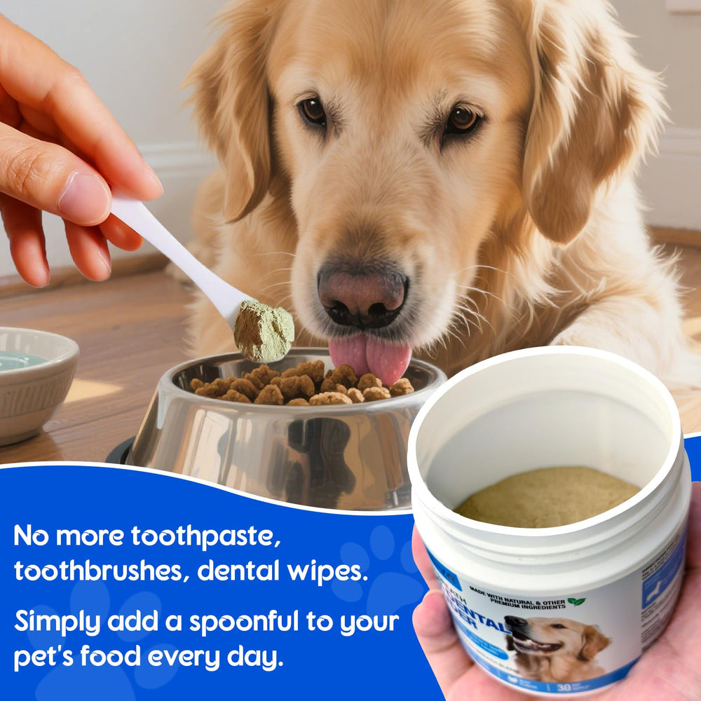 ARMOYA 30-day supply packaging for ongoing dental support