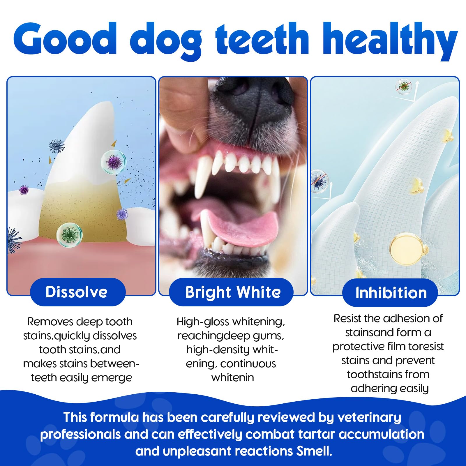 ARMOYA veterinary-certified tooth powder label signals quality