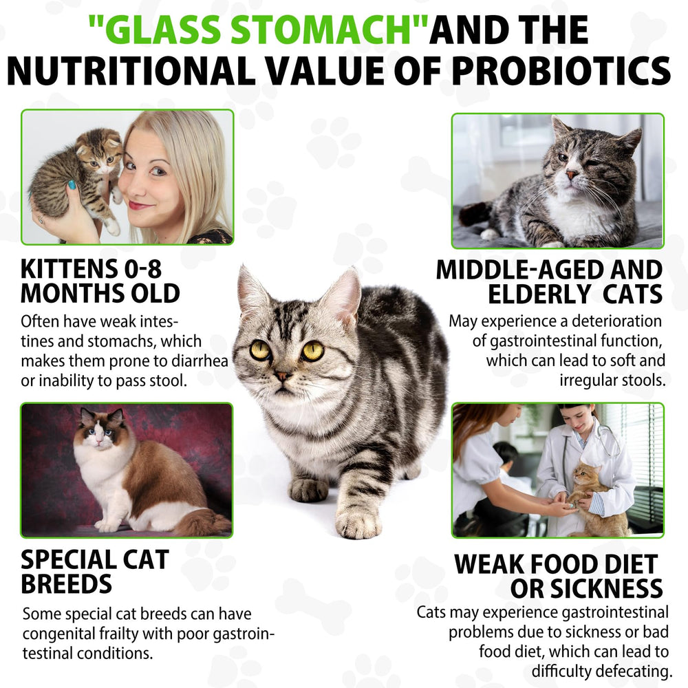 ARMOYA natural herbal supplements for cats promote gentle digestive support.