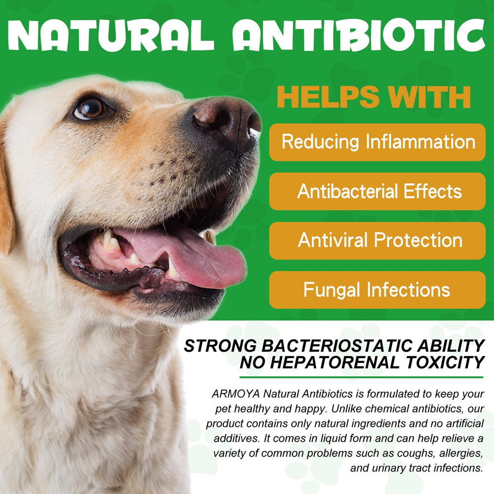 ARMOYA organic ingredients dog supplement label emphasizes organic ingredients