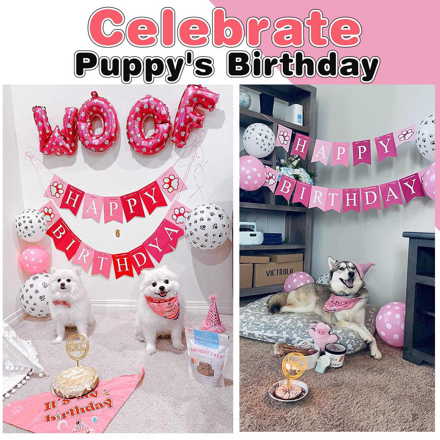 AROIC birthday hat sits gently on the dog for cute, safe celebrations