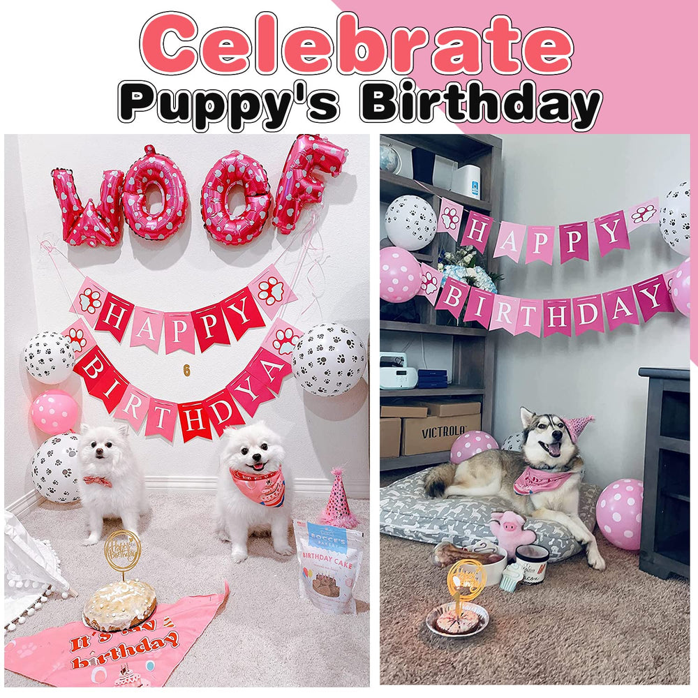 AROIC birthday hat sits gently on the dog for cute, safe celebrations