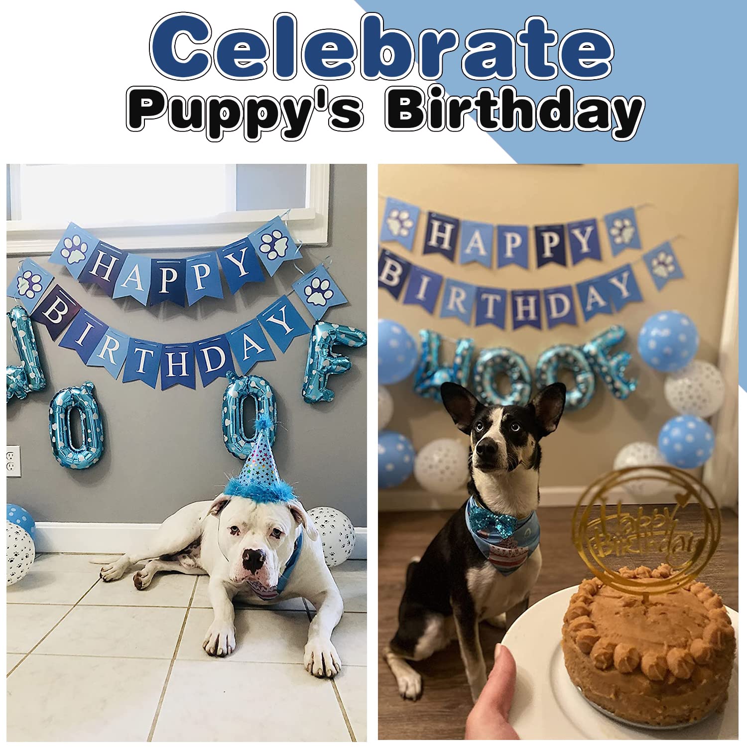 AROIC dog birthday hat on a happy dog for party moments